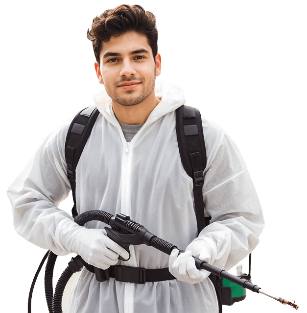 Pest Control in Delhi - Uttam Pesticide & Services